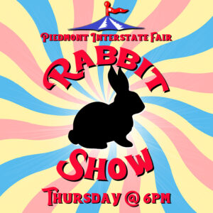rabbit show